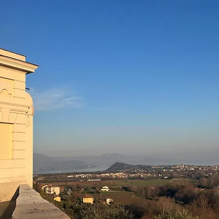 Al Tulipano