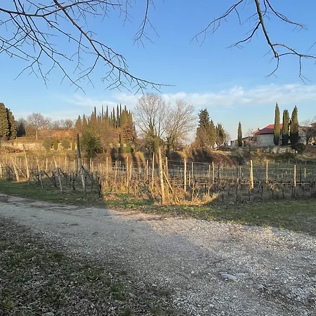 Al Tulipano Polpenazze del Garda