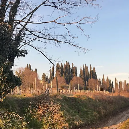 Al Tulipano Apartment Polpenazze del Garda